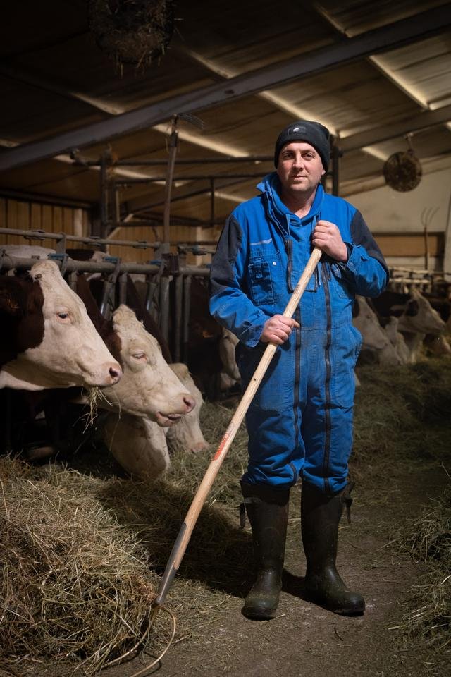 Dermatose nodulaire contagieuse : en Haute-Savoie, ces éleveurs qui se relèvent après l’abattage de leurs vaches