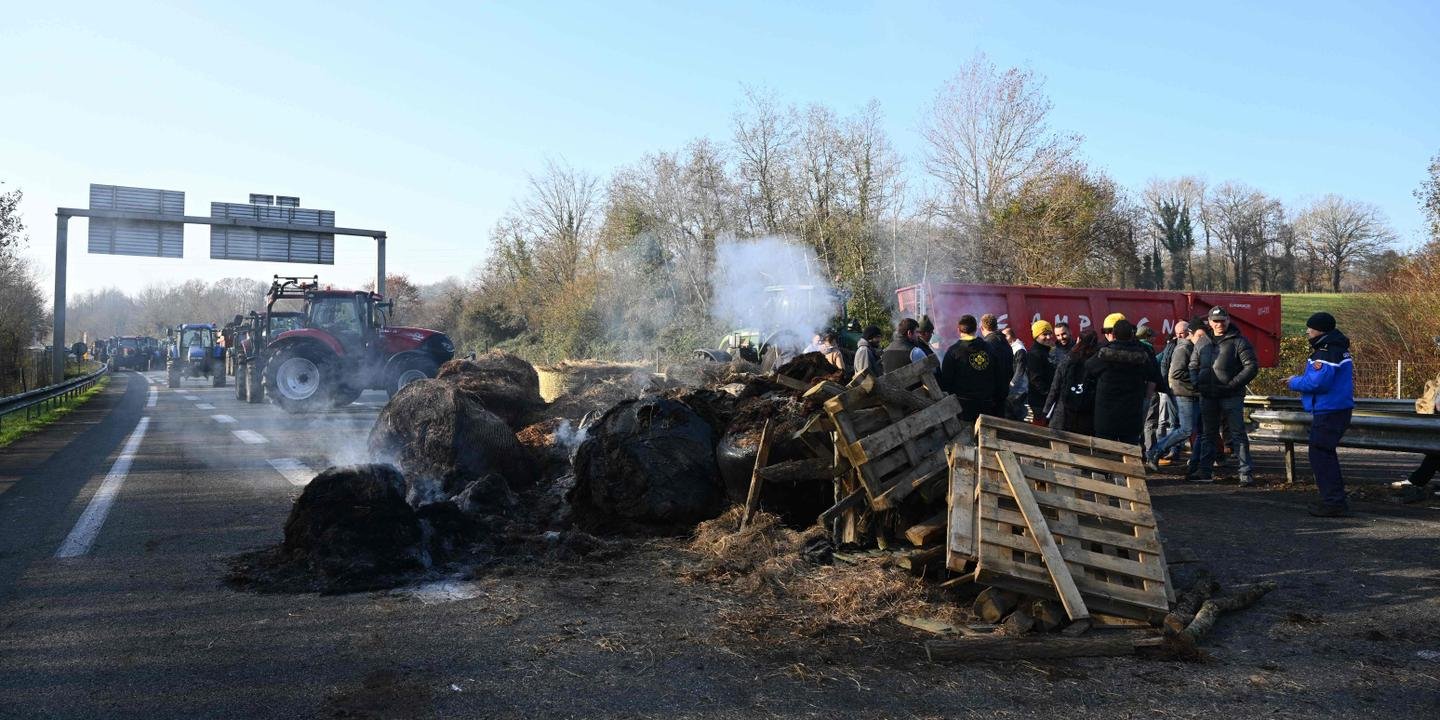 EN DIRECT, dermatose nodulaire : le point sur la mobilisation des agriculteurs dans le Sud-Ouest
